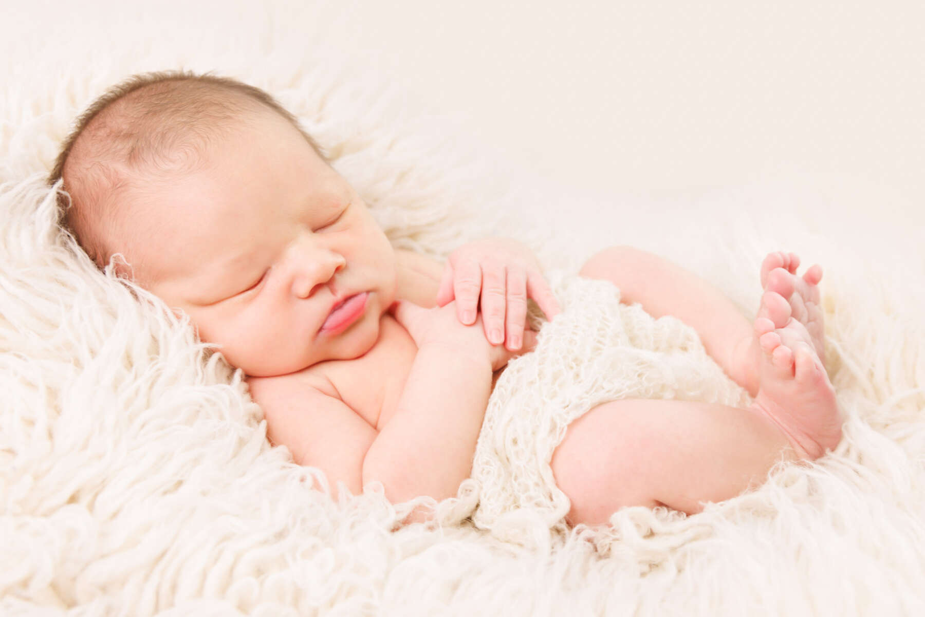 Recent newborn session in Perth