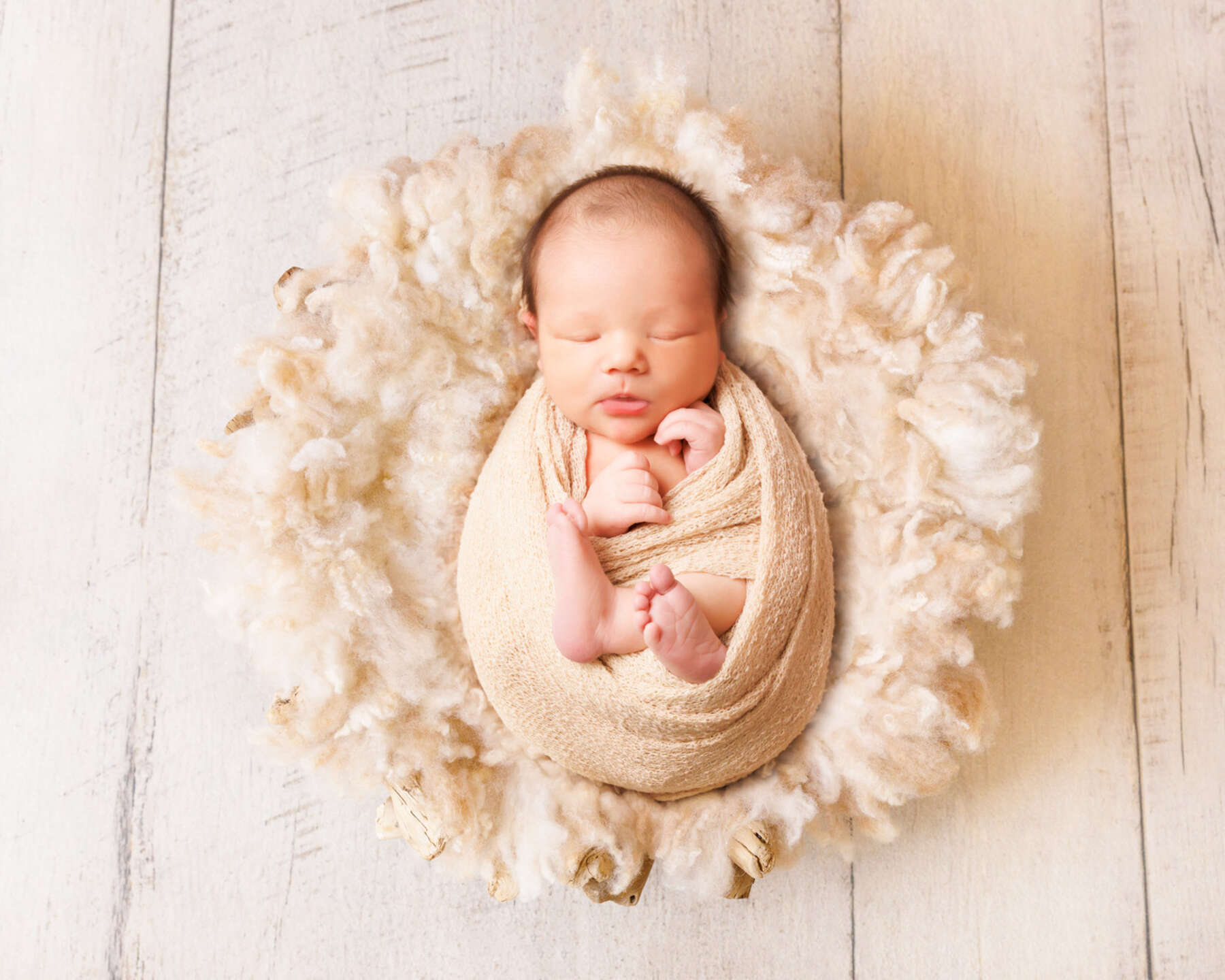 Recent newborn session in Perth