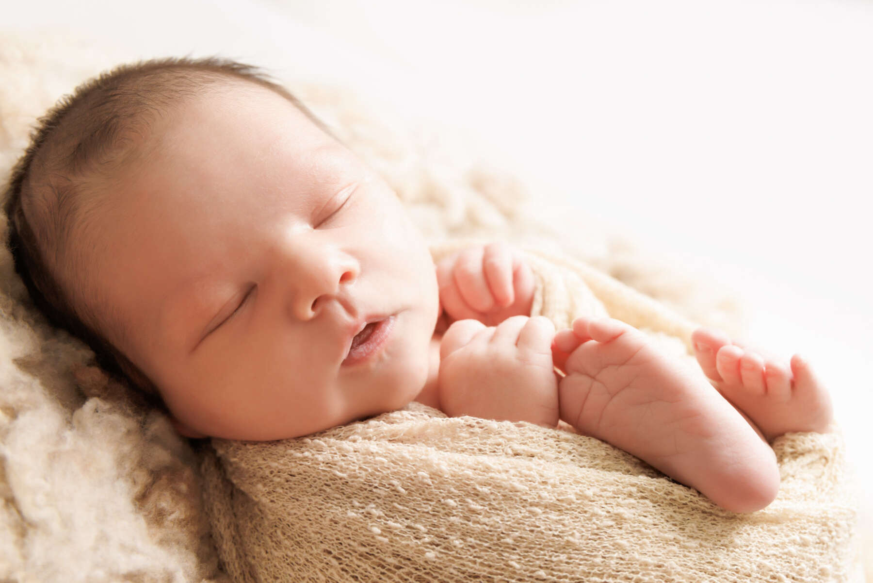 Recent newborn session in Perth