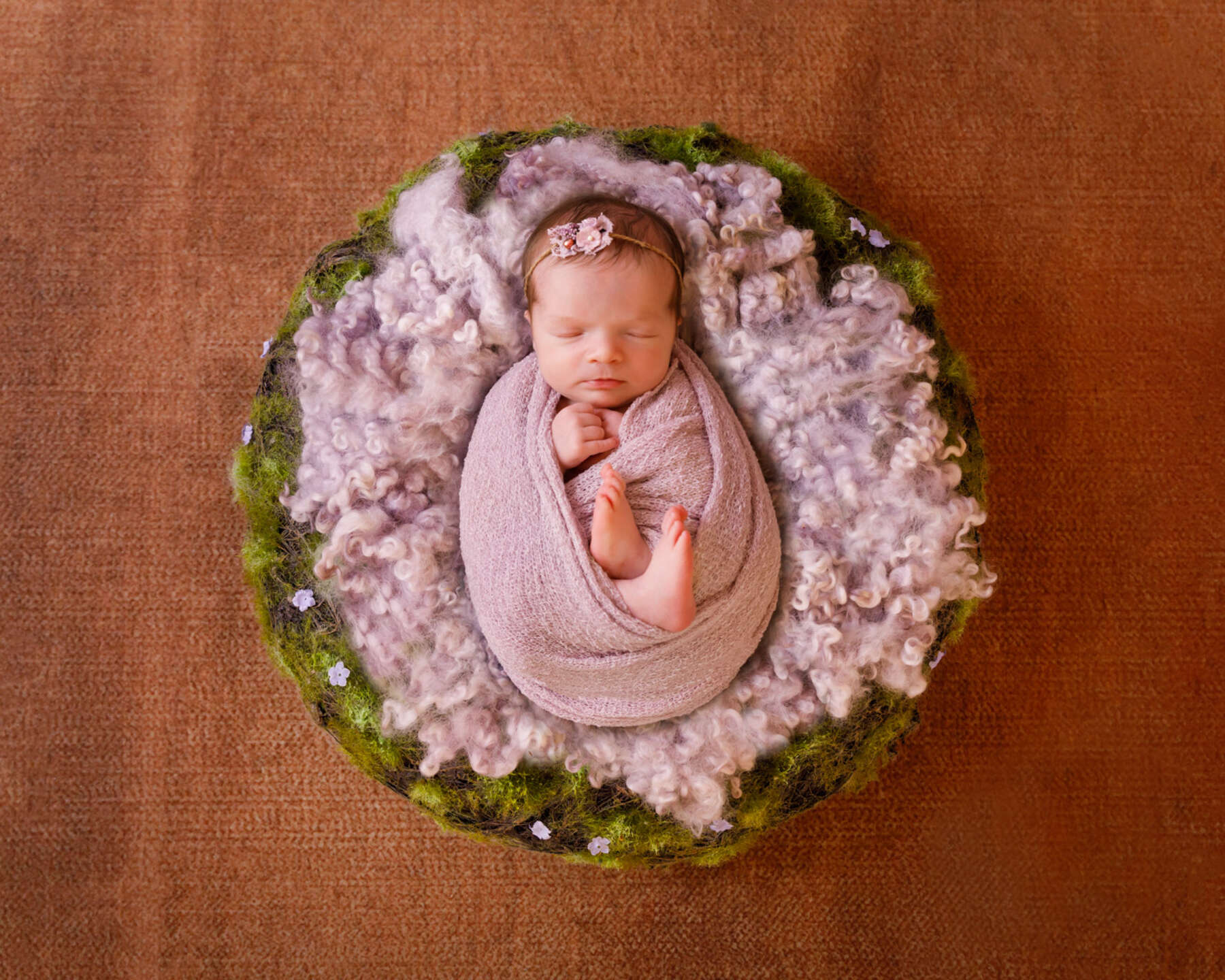 Recent newborn session in Perth