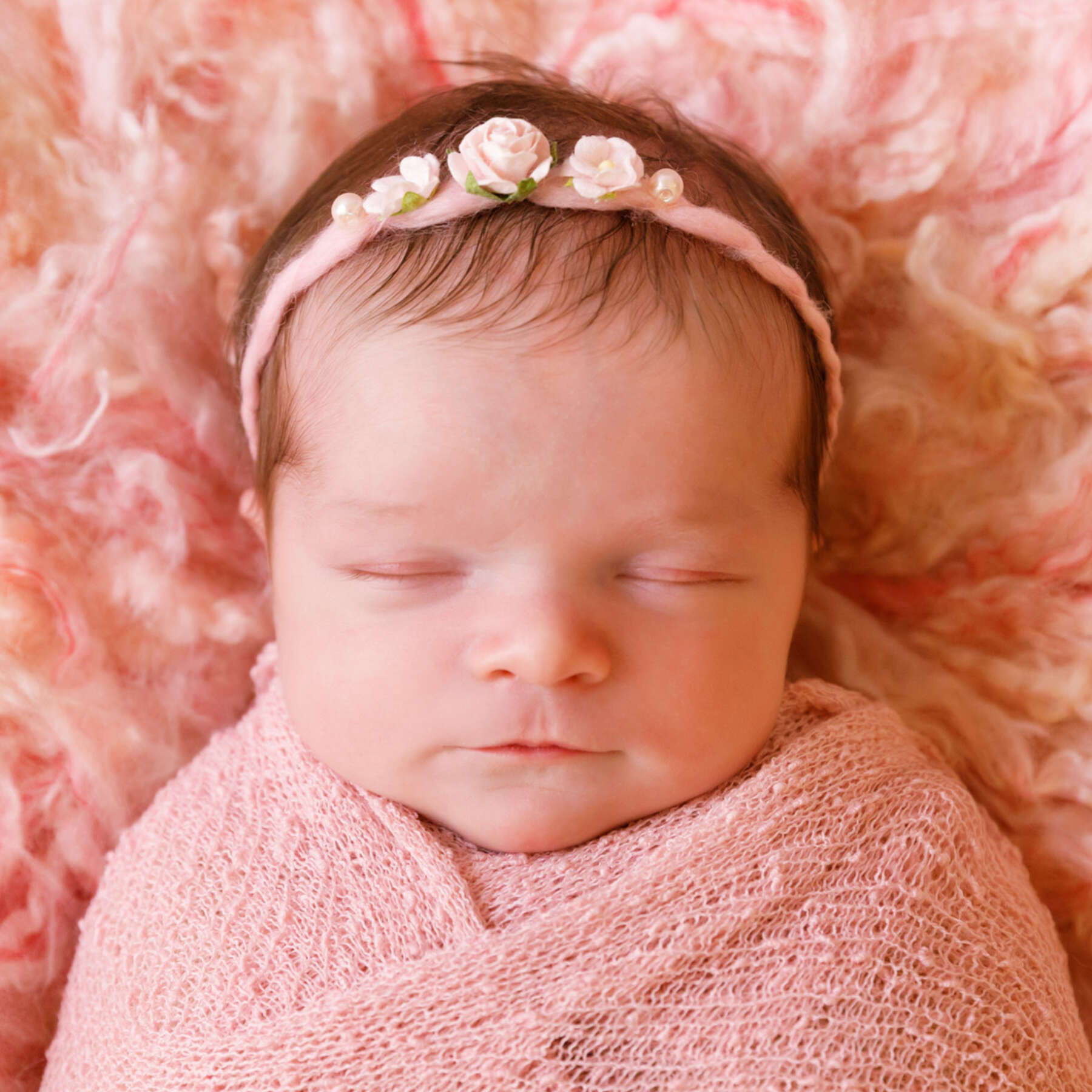 Recent newborn session in Perth