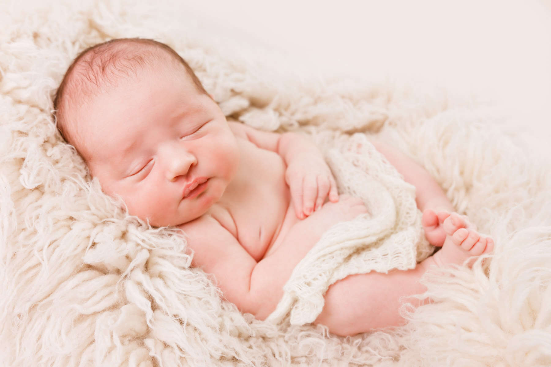 Recent newborn session in Perth