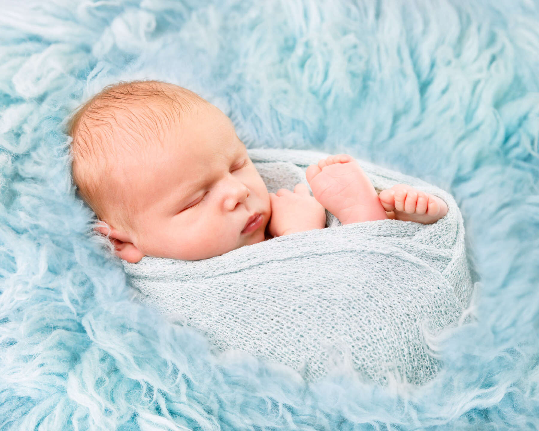 Recent newborn session in Perth